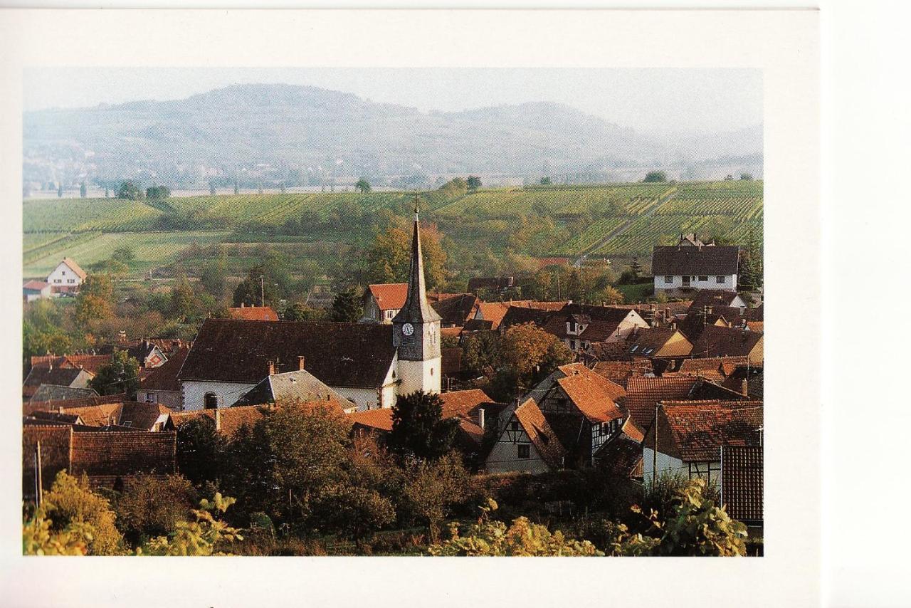הוילה Wangen Les Hirondelles מראה חיצוני תמונה